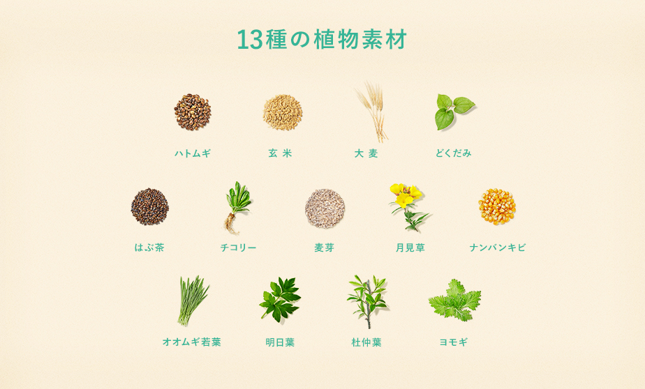 13種の植物素材 ハトムギ 玄米 大麦 どくだみ はぶ茶 チコリー 麦芽 月見草 ナンバンキビ オオムギ若葉 明日葉 杜仲葉 ヨモギ